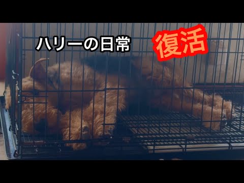 久々の投稿になってしまいすみません💦