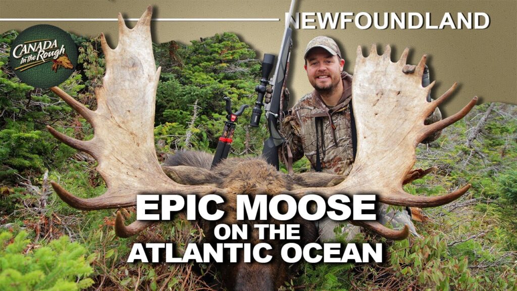 Remote Atlantic Ocean Hunt for Moose in Newfoundland | Canada in the Rough Remote Atlantic Ocean Hunt for Moose in Newfoundland | Canada in the Rough