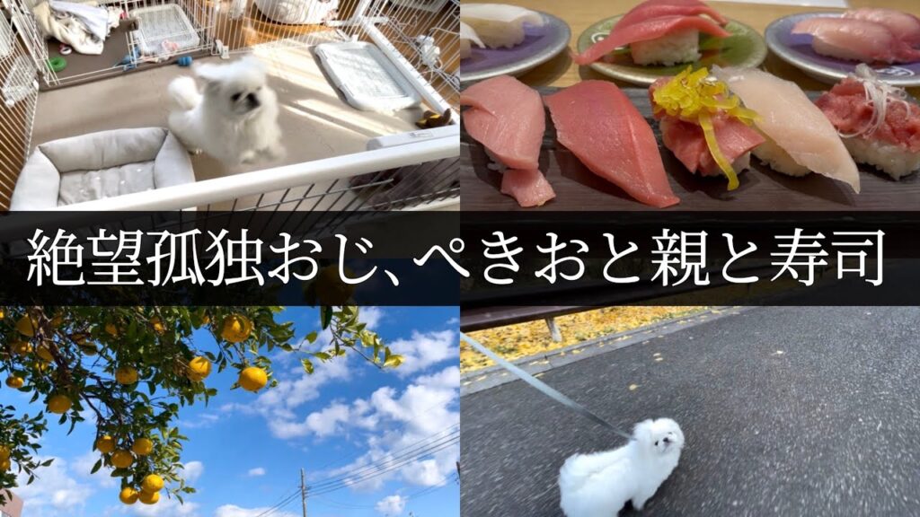 絶望孤独おじ、ぺきおと親と寿司 絶望孤独おじ、ぺきおと親と寿司