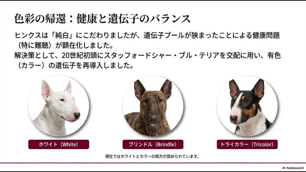 【ブルテリア】の革命