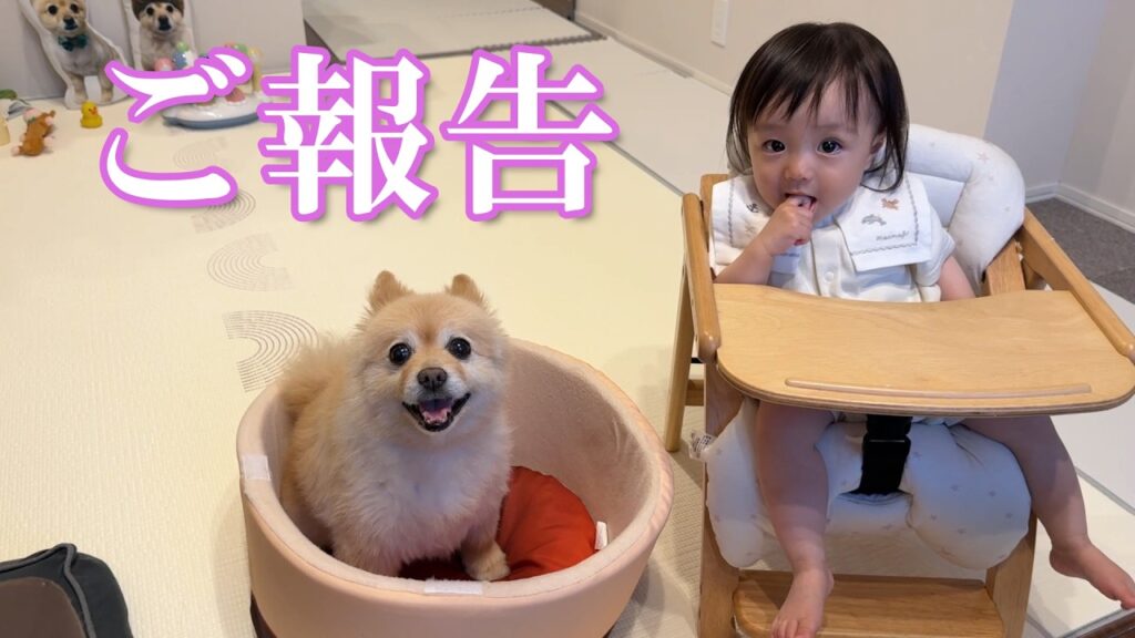【ご報告】皆様にお願いがあります 【ご報告】皆様にお願いがあります