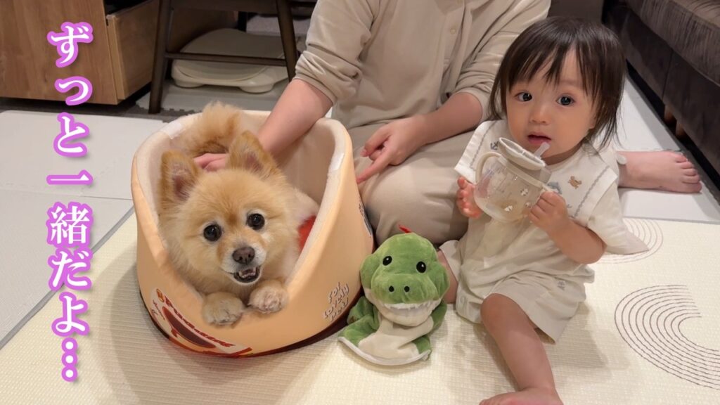 幸せな時間が少しでも長く続きますように… 幸せな時間が少しでも長く続きますように…
