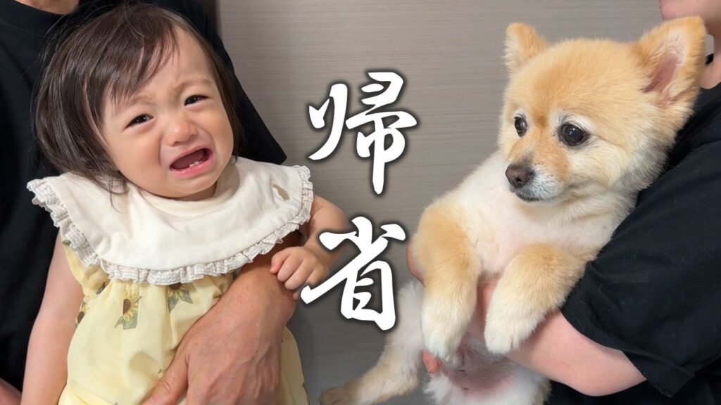 実家に帰れるのが嬉しくて愛犬がこうなりました…【お盆編】 実家に帰れるのが嬉しくて愛犬がこうなりました…【お盆編】