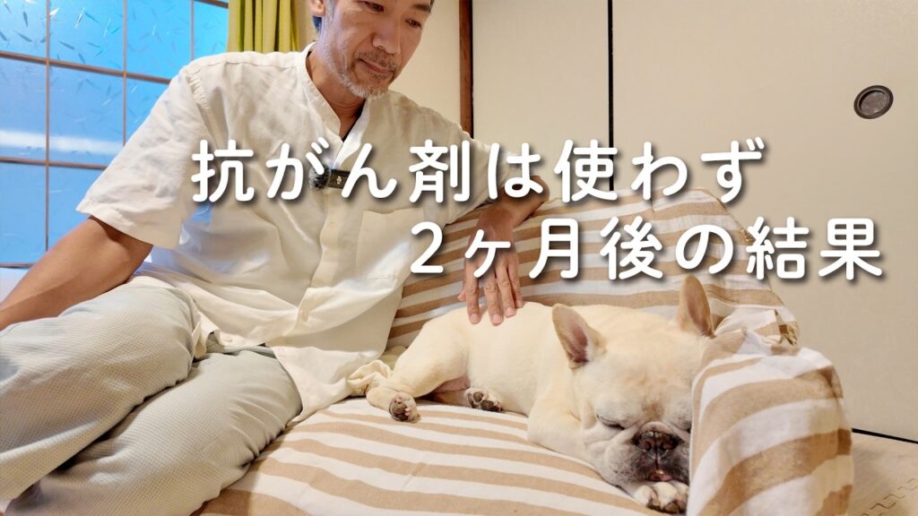 【ご報告】悪性リンパ腫 発覚から2ヶ月後の診断結果 【ご報告】悪性リンパ腫 発覚から2ヶ月後の診断結果