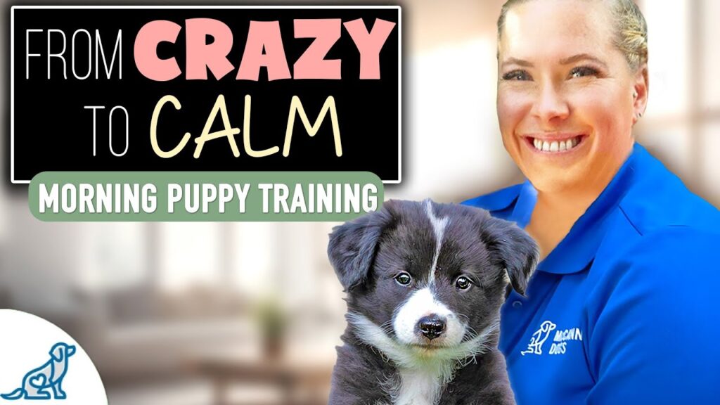 5 Things I Do With My Puppy Every Morning – Get Ready With Me 5 Things I Do With My Puppy Every Morning - Get Ready With Me