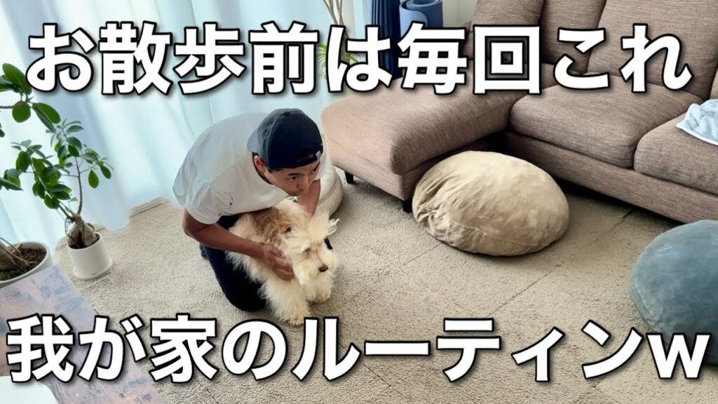 我が家のお散歩前にルーティンw