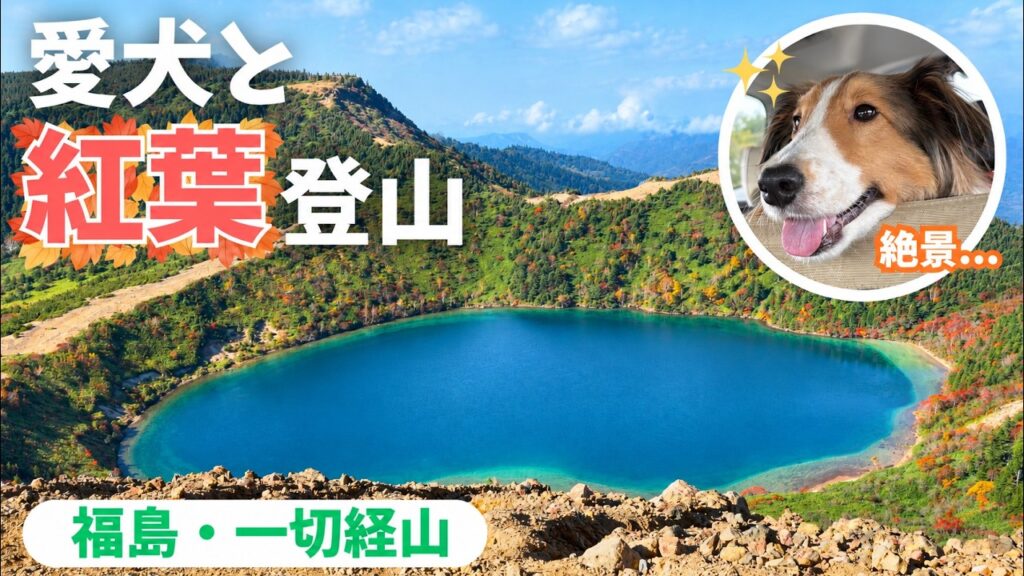 【シェルティ】紅葉見頃の一切経山へ🍁神秘の絶景「魔女の瞳」に会いに行く！