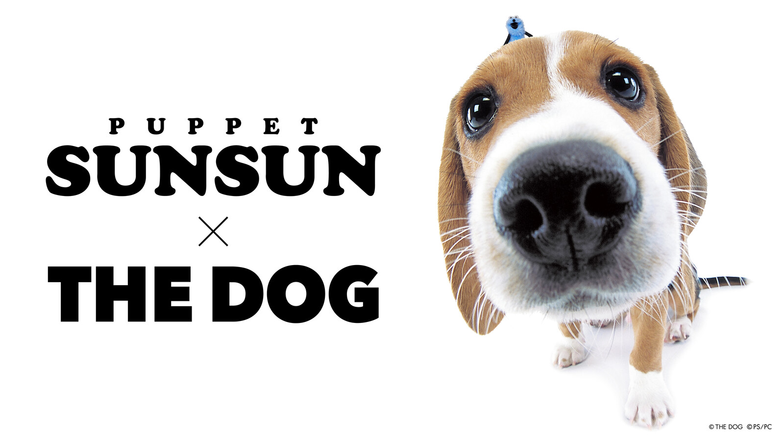 Puppet Sunsun × THE DOG Collaboration T-Shirt